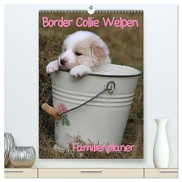 Border Collie Welpen - Familienplaner (hochwertiger Premium Wandkalender 2024 DIN A2 hoch), Kunstdruck in Hochglanz, Antje Lindert-Rottke