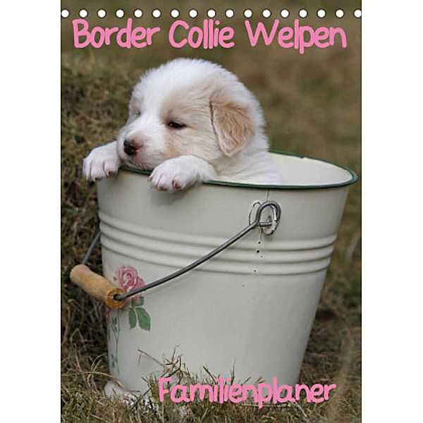 Border Collie Welpen - Familienplaner (Tischkalender 2022 DIN A5 hoch), Antje Lindert-Rottke