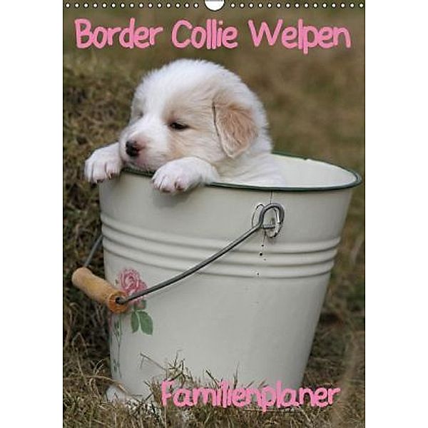 Border Collie Welpen - Familienplaner (Wandkalender 2015 DIN A3 hoch), Antje Lindert-Rottke