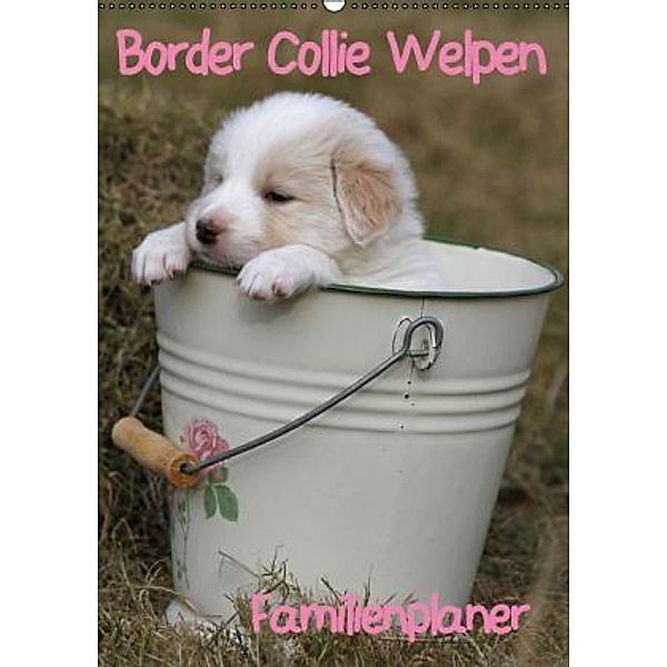 Border Collie Welpen - Familienplaner (Wandkalender 2015 DIN A2 hoch), Antje Lindert-Rottke