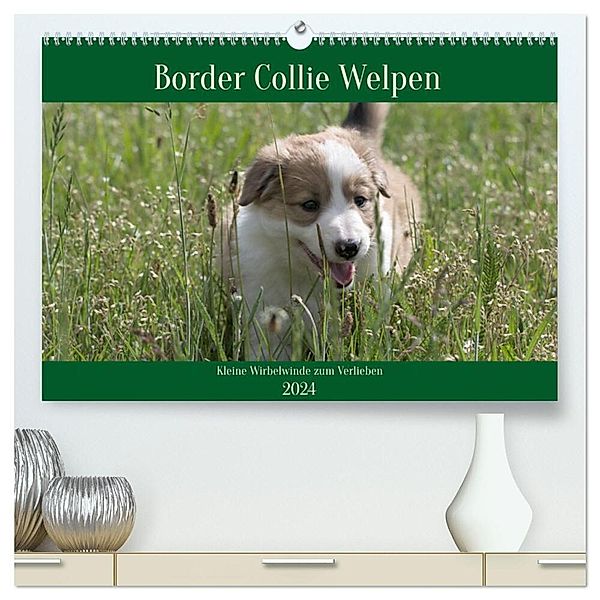Border Collie Welpen - Kleine Wirbelwinde zum Verlieben (hochwertiger Premium Wandkalender 2024 DIN A2 quer), Kunstdruck in Hochglanz, Volko Neitmann