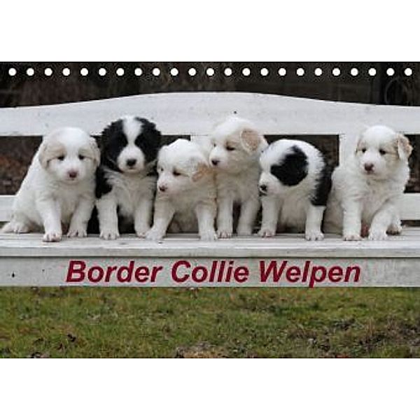 Border Collie Welpen (Tischkalender 2015 DIN A5 quer), Antje Lindert-Rottke