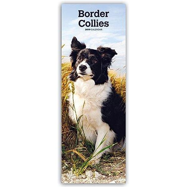 Border Collies 2019, BrownTrout Publisher