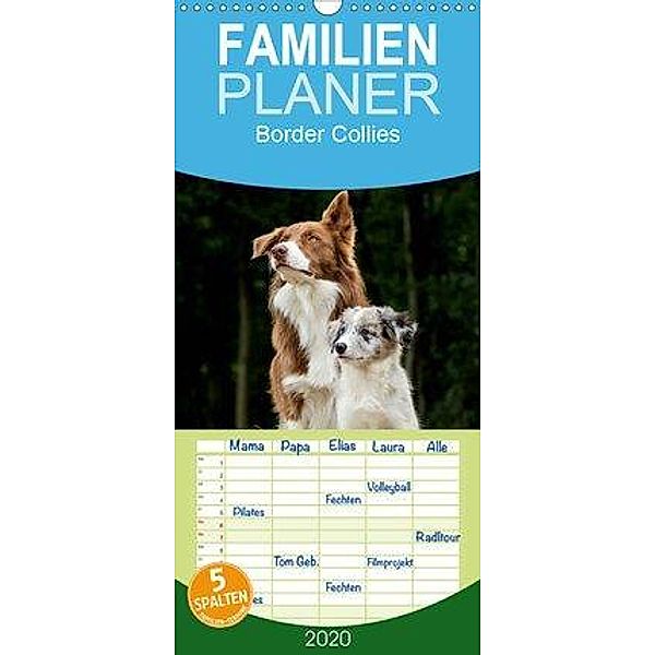 Border Collies 2020 - Familienplaner hoch (Wandkalender 2020 , 21 cm x 45 cm, hoch), Christine Hemlep