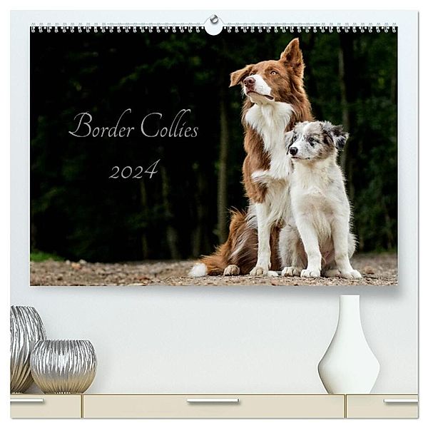 Border Collies 2024 (hochwertiger Premium Wandkalender 2024 DIN A2 quer), Kunstdruck in Hochglanz, Christine Hemlep