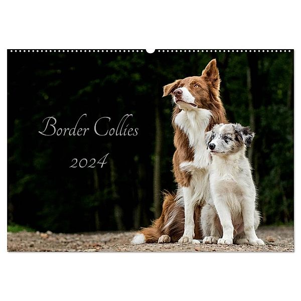 Border Collies 2024 (Wandkalender 2024 DIN A2 quer), CALVENDO Monatskalender, Christine Hemlep