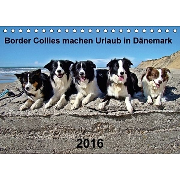 Border Collies machen Urlaub in Dänemark (Tischkalender 2016 DIN A5 quer), Eva Busch