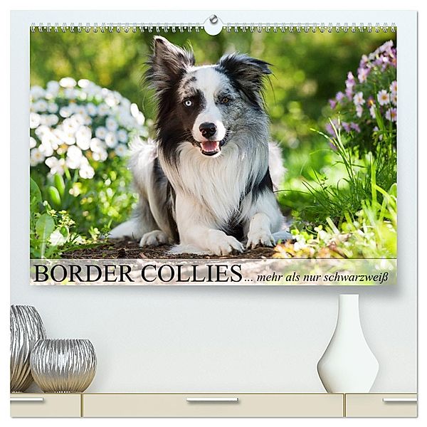 Border Collies - nicht nur schwarzweiss (hochwertiger Premium Wandkalender 2025 DIN A2 quer), Kunstdruck in Hochglanz, Calvendo, Judith Kiener - DoraZett