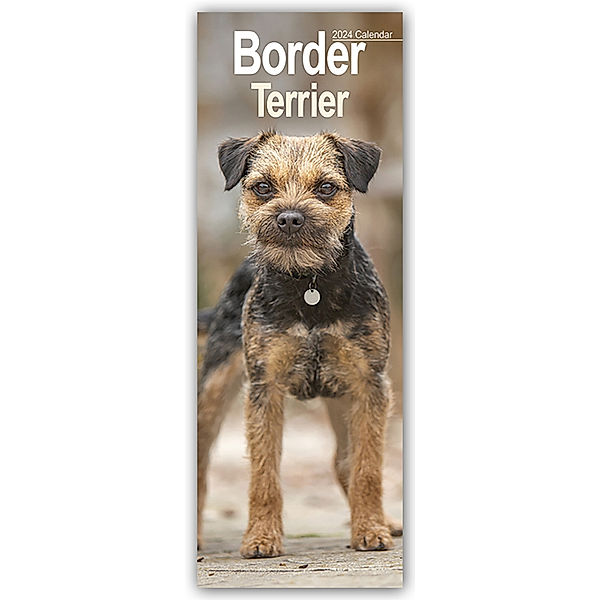 Border Terrier 2024, Avonside Publishing Ltd