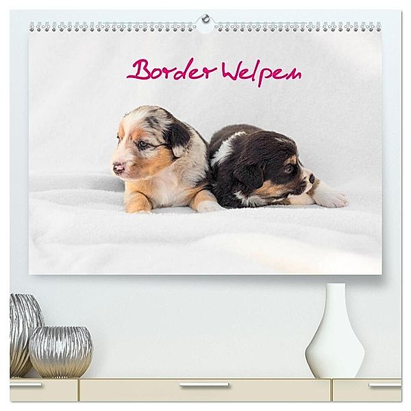 Border Welpen (hochwertiger Premium Wandkalender 2024 DIN A2 quer), Kunstdruck in Hochglanz, Hermann Greiling