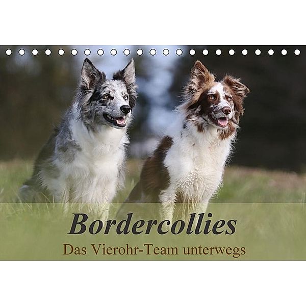 Bordercollies - Das Vierohr-Team unterwegs (Tischkalender 2017 DIN A5 quer), Beatrice Müller Hundefotowerk