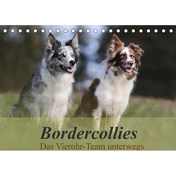 Bordercollies - Das Vierohr-Team unterwegs (Tischkalender 2022 DIN A5 quer), Beatrice Müller Hundefotowerk