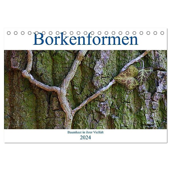 Borkenformen (Tischkalender 2024 DIN A5 quer), CALVENDO Monatskalender, Clemens Stenner