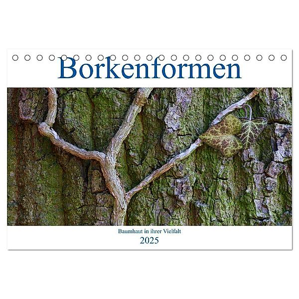 Borkenformen (Tischkalender 2025 DIN A5 quer), CALVENDO Monatskalender, Calvendo, Clemens Stenner