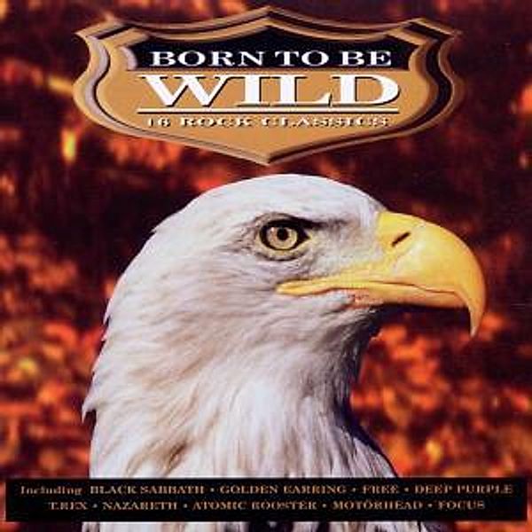 Born To Be Wild-16tr-, Diverse Interpreten