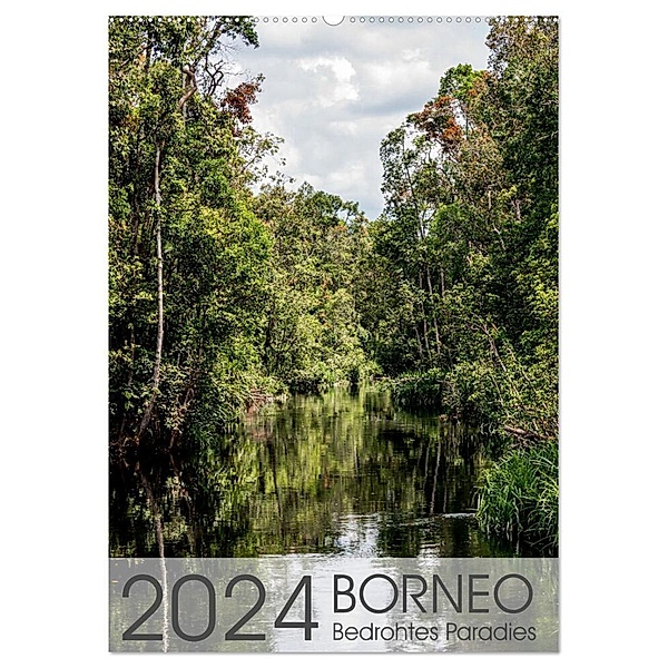BORNEO Bedrohtes Paradies (Wandkalender 2024 DIN A2 hoch), CALVENDO Monatskalender, Maren Schoennerstedt