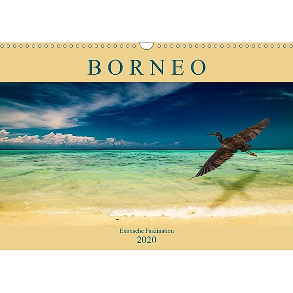 Borneo - Exotische Faszination (Wandkalender 2020 DIN A3 quer), Arne Wünsche