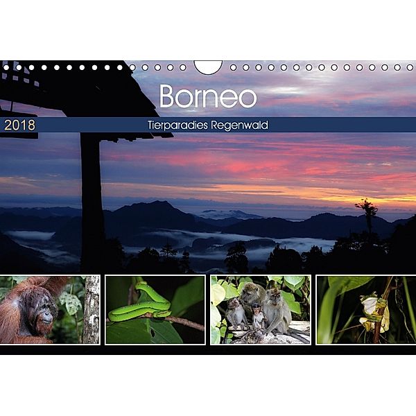 Borneo - Tierparadies Regenwald (Wandkalender 2018 DIN A4 quer), Michael Herzog