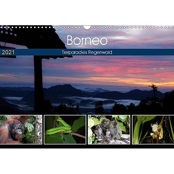 Borneo - Tierparadies Regenwald (Wandkalender 2021 DIN A3 quer), Michael Herzog