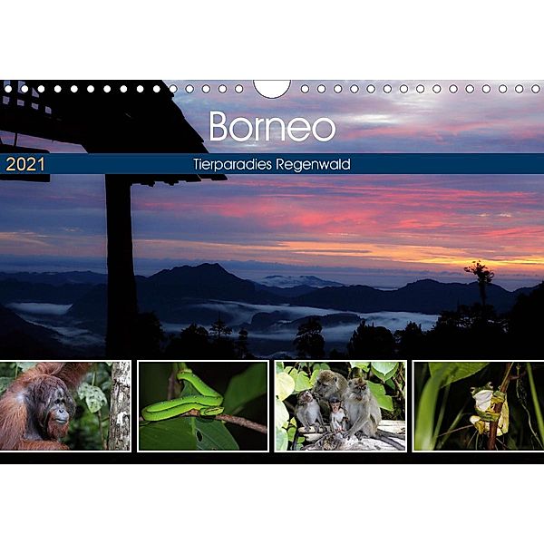 Borneo - Tierparadies Regenwald (Wandkalender 2021 DIN A4 quer), Michael Herzog