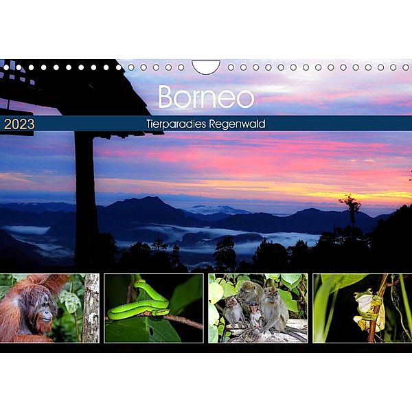 Borneo - Tierparadies Regenwald (Wandkalender 2023 DIN A4 quer), Michael Herzog