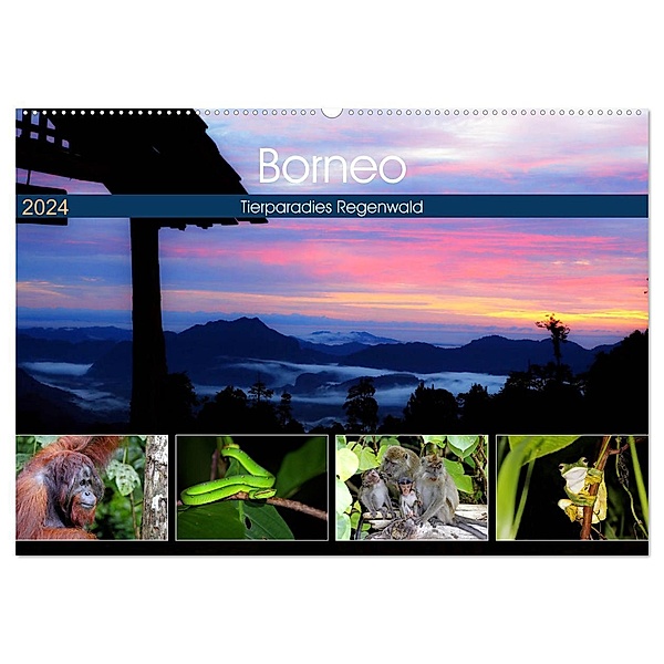 Borneo - Tierparadies Regenwald (Wandkalender 2024 DIN A2 quer), CALVENDO Monatskalender, Michael Herzog