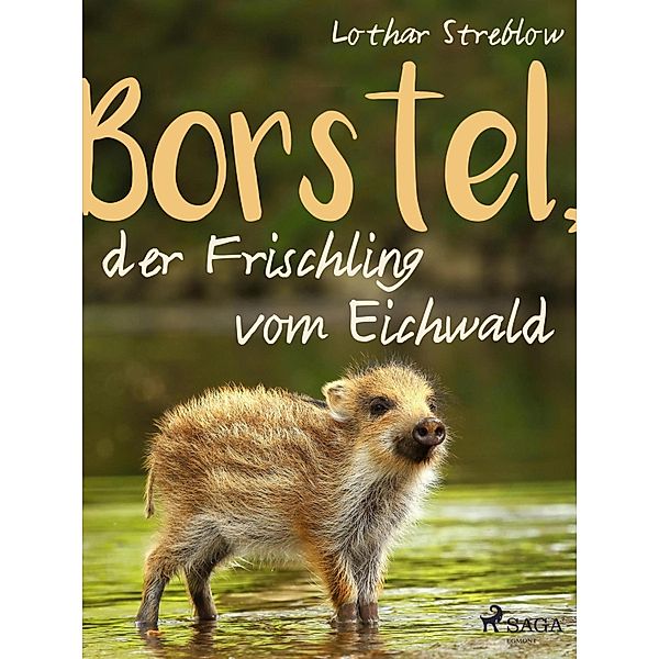 Borstel, der Frischling vom Eichwald / Tiere in ihrem Lebensraum Bd.2, Lothar Streblow