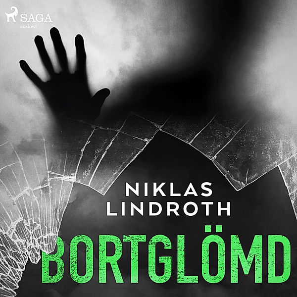 Bortglömd, Niklas Lindroth