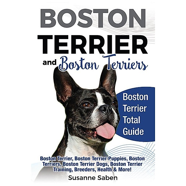 Boston Terrier and Boston Terriers, Susanne Saben