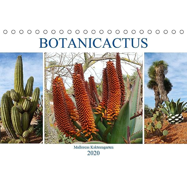 BOTANICACTUS Mallorcas Kakteengarten (Tischkalender 2020 DIN A5 quer), Gisela Kruse