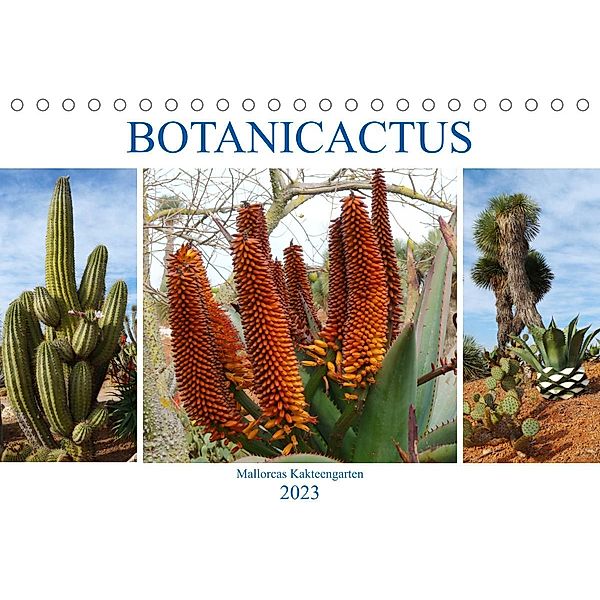 BOTANICACTUS Mallorcas Kakteengarten (Tischkalender 2023 DIN A5 quer), Gisela Kruse