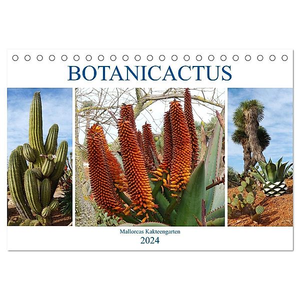 BOTANICACTUS Mallorcas Kakteengarten (Tischkalender 2024 DIN A5 quer), CALVENDO Monatskalender, Gisela Kruse