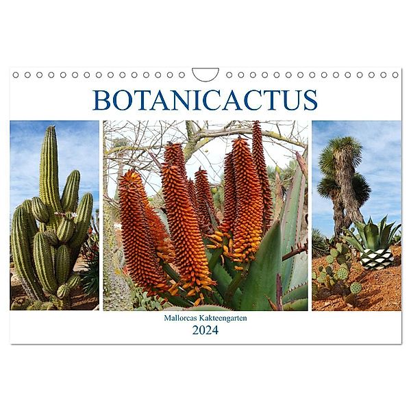 BOTANICACTUS Mallorcas Kakteengarten (Wandkalender 2024 DIN A4 quer), CALVENDO Monatskalender, Gisela Kruse