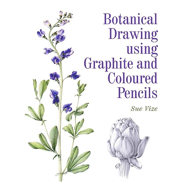 Botanical Drawing using Graphite and Coloured Pencils, Sue Vize