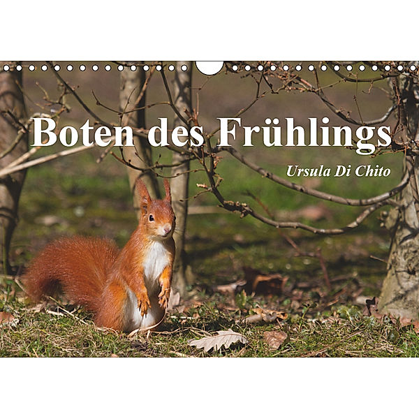 Boten des Frühlings (Wandkalender 2019 DIN A4 quer), Ursula Di Chito