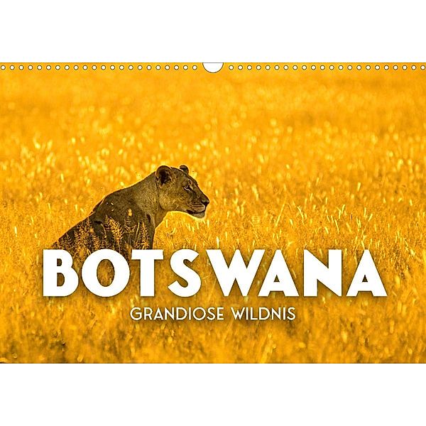 Botswana - Grandiose Wildnis (Wandkalender 2023 DIN A3 quer), SF