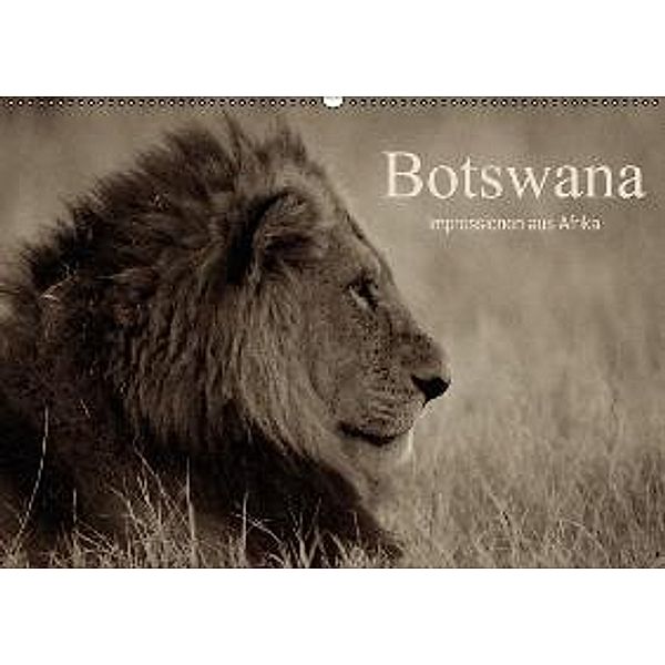 Botswana Impressionen aus Afrika (Wandkalender 2015 DIN A2 quer), Franz J. Hering