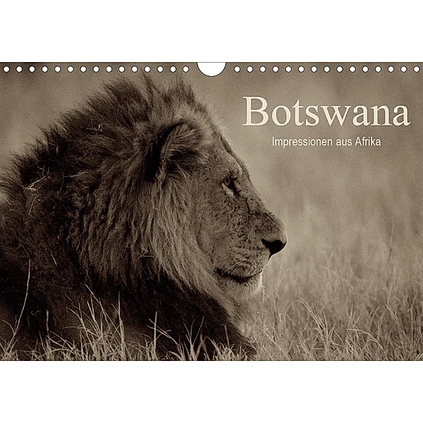 Botswana - Impressionen aus Afrika (Wandkalender 2021 DIN A4 quer), Franz J. Hering