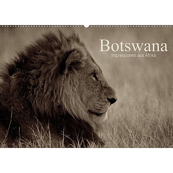 Botswana - Impressionen aus Afrika (Wandkalender 2023 DIN A2 quer), Dr. Franz Josef Hering