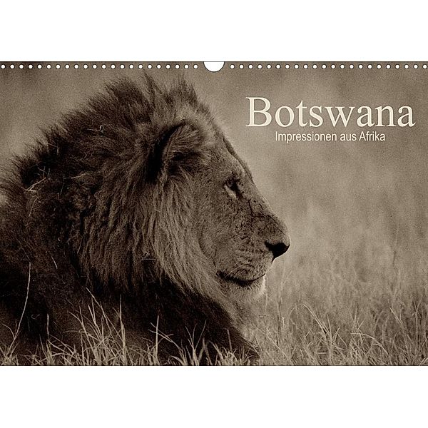Botswana - Impressionen aus Afrika (Wandkalender 2023 DIN A3 quer), Dr. Franz Josef Hering