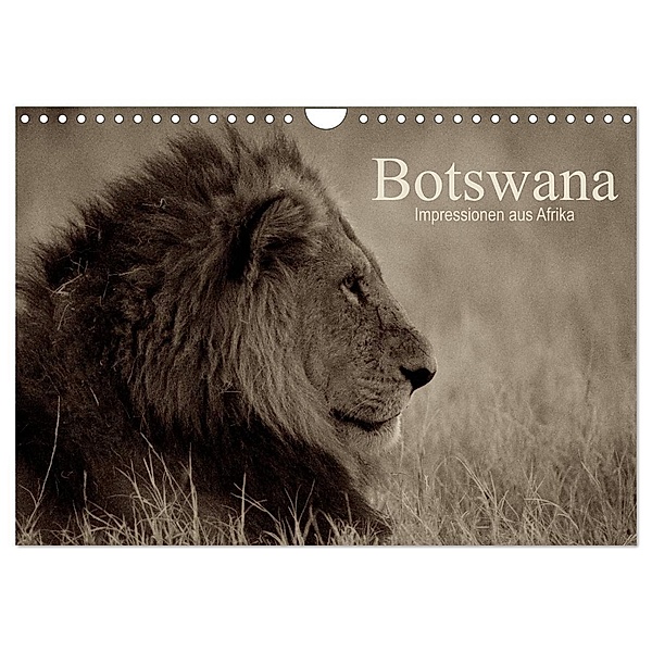 Botswana - Impressionen aus Afrika (Wandkalender 2024 DIN A4 quer), CALVENDO Monatskalender, Dr. Franz Josef Hering