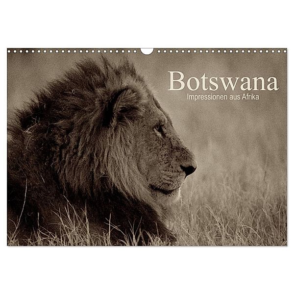 Botswana - Impressionen aus Afrika (Wandkalender 2024 DIN A3 quer), CALVENDO Monatskalender, Dr. Franz Josef Hering