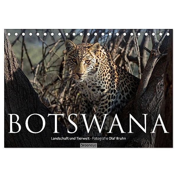 Botswana - Landschaft und Tierwelt (Tischkalender 2024 DIN A5 quer), CALVENDO Monatskalender, Olaf Bruhn