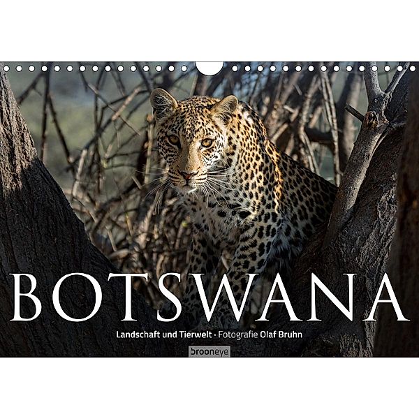 Botswana - Landschaft und Tierwelt (Wandkalender 2020 DIN A4 quer), Olaf Bruhn