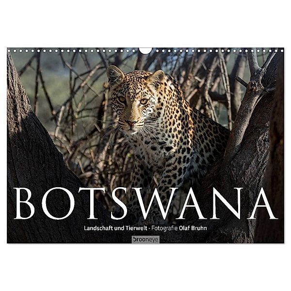 Botswana - Landschaft und Tierwelt (Wandkalender 2024 DIN A3 quer), CALVENDO Monatskalender, Olaf Bruhn
