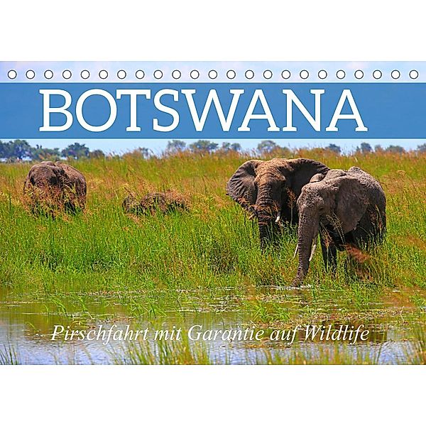 Botswana- Pirschfahrt mit Garantie auf Wildlife (Tischkalender 2023 DIN A5 quer), Dr. Werner Altner