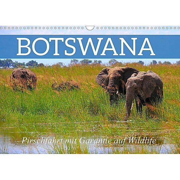 Botswana- Pirschfahrt mit Garantie auf Wildlife (Wandkalender 2023 DIN A3 quer), Dr. Werner Altner