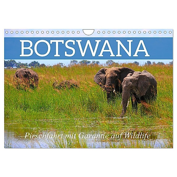 Botswana- Pirschfahrt mit Garantie auf Wildlife (Wandkalender 2024 DIN A4 quer), CALVENDO Monatskalender, Dr. Werner Altner