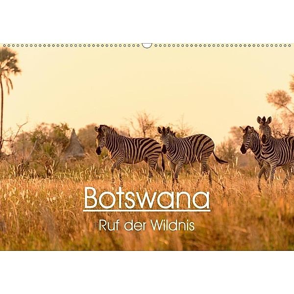 Botswana - Ruf der Wildnis (Wandkalender 2020 DIN A2 quer), Maria-Lisa Stelzel