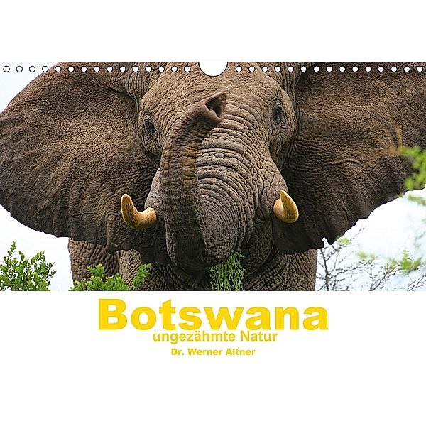 Botswana - ungezähmte Natur (Wandkalender 2018 DIN A4 quer), Werner Altner
